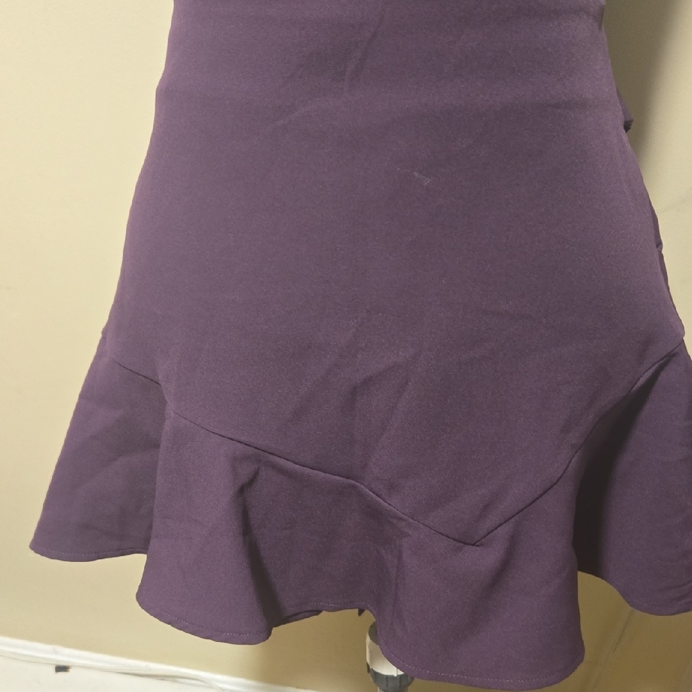 Zara Purple Fit and Flare Mini Skirt with Ruffles